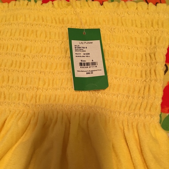 Lilly Pulitzer Other - NWT Lilly Pulitzer Brigitte Dress